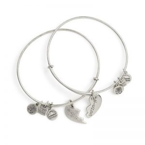 bangle bracelets with charms alex and ani best friends set of 2 bangle charm bracelets - TVYZBBY