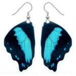 butterfly earrings real butterfly wing earrings - butterfly jewelry, nature jewelry,  taxidermy, butterfly OAAHSPE