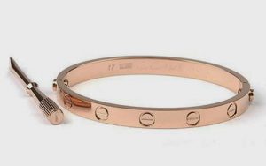 cartier love bracelet with screwdriver ONIPBIN