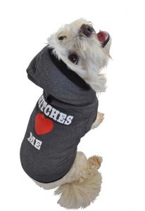 dog hoodie image 1 NHWVIHL