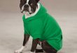 fleece lined dog hoodie by zack u0026 zoey - green with same day shipping IKNFEFY