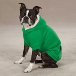 fleece lined dog hoodie by zack u0026 zoey - green with same day shipping IKNFEFY