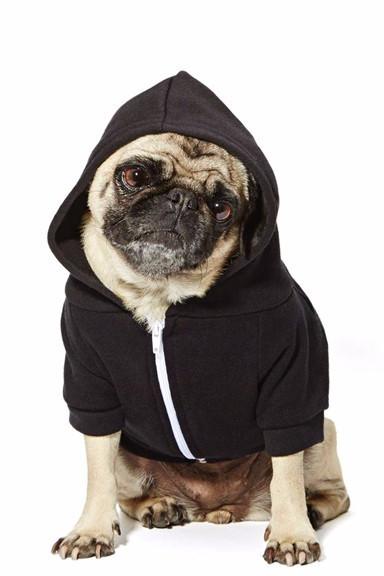 haute dog hoodie OBYKYRL