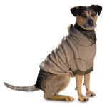 on-the-go thermal dog hoodie - taupe with same day shipping | baxterboo BRQCYRD