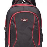 school bag - cosmus edwin large school backpack bag for class 6 to class BNZCDPO