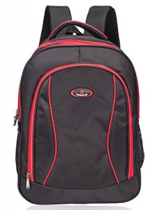 school bag - cosmus edwin large school backpack bag for class 6 to class BNZCDPO