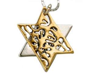 star of david necklace by haari jewish jewelry PSWPHNN