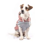 sweatshirt dog hoodie, striped dog hoodie, nautical dog sweater, dog  pajama, small dog CZJSTBE