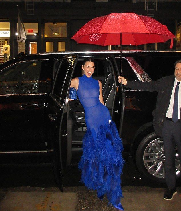 Stunning Ways to Style a Royal Blue Gown
for Any Occasion