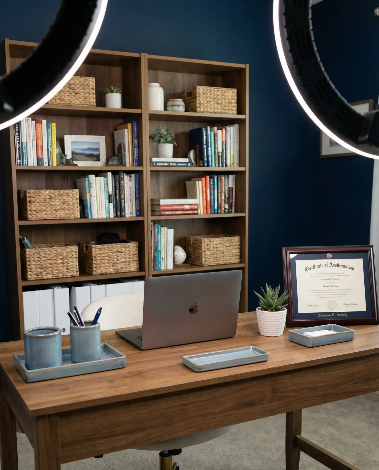 Professional Video Conference Backdrop 2