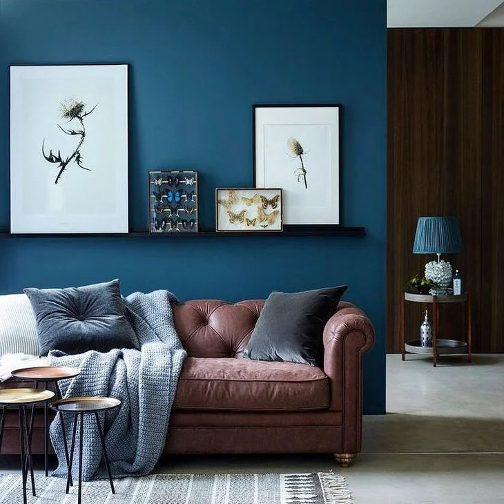 blue and brown living room